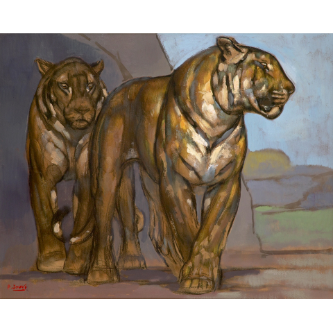 Deux tigres marchant de face. Vers 1935.
